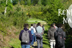 Yoga des 4 éléments en pleine nature