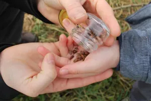 Atelier création d'un jardin médicinal