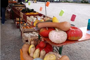 Fête des légumes