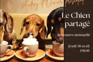 Le chien partagé