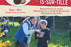 Demi-journée découverte de la truffe de Bourgogne