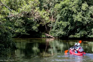 Découverte naturaliste de l'Huisne en canoë à la journée