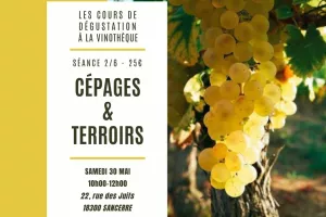 Cours d'Initiation à la dégustation