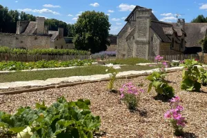 Visites du Potager conservatoire
