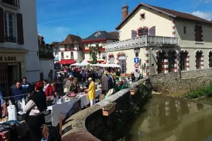 Vide-Grenier de Salies à Peindre