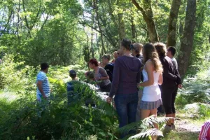 Balade nature en forêt Landaise