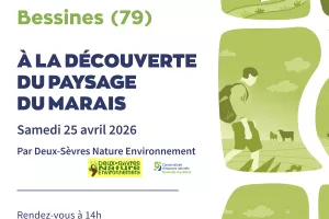 Balade nature "A la découverte du paysage du marais" à Bessines