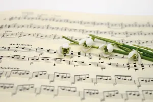 Concert d'été