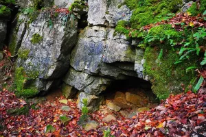 Été actif | Spéléologie