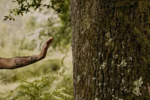 Bain de forêt Quiétude et Nature