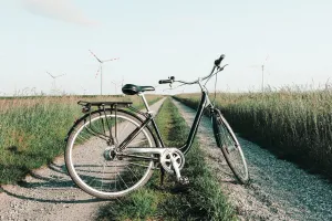 Fête du vélo