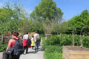 Sortie nature adaptée en famille