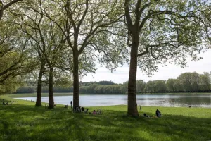 Versailles, cité-jardin (randonnée-conférence)