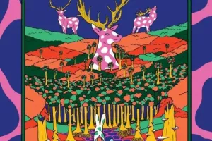 Le Festival de la Vallée