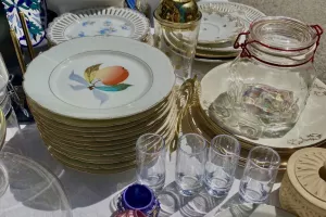 Vide grenier - Bourse aux plantes
