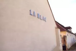 Kino Moutarde - Stage de réalisation de courts-métrages