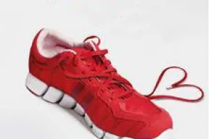 Les parcours du coeur