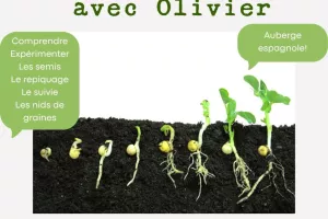 Atelier germination