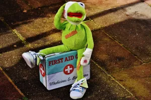 Mercredis nature : SOS animal sauvage en Détresse !