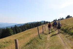 Sortie pédestre : les volcans du Rossberg