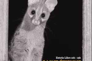 16ème édition Festival photographique "Signé Nature"