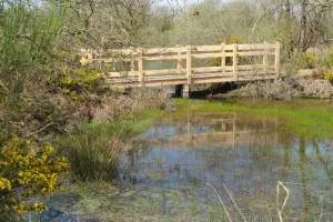 Découverte des Terres de Picadon