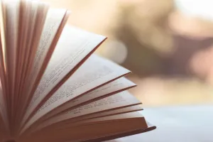 Salon du Livre