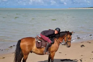 Randonnée à cheval 3 jours - Havre de la vanlée