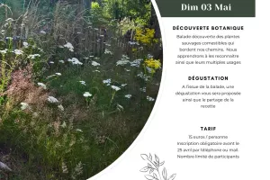 Atelier Plantes sauvages comestibles