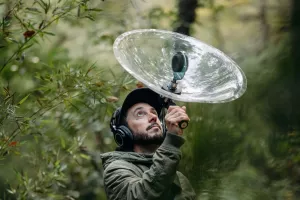 Balade nature sonore