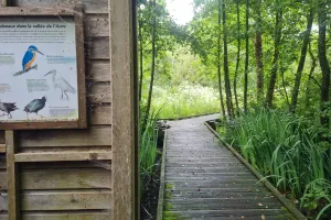 La richesse faunistique du marais de la vallée de l’Aure