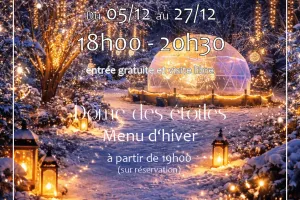 Nuit des lumières  - Noël à Chouzy-sur-Cisse