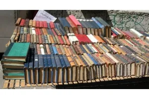 FOIRE AUX LIVRES, CD, VINYLES