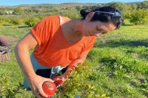 Atelier plantation d'herbes aromatiques et découverte de l'agroforesterie