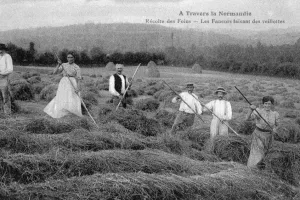 Les conférences d’histoire locale, la vie dans nos campagnes du Cotentin 5/5 : "Foins et moissons"