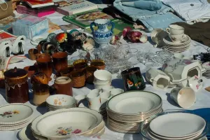 Vide greniers et marché aux fleurs  de l'APE de Lougratte