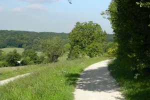 Découverte de l'aqueduc de la Dhuis