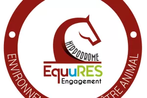 Courses hippiques - Tout galop