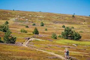 FÊTE DE LA NATURE EN LOZÈRE : LECTURES INSOLITES