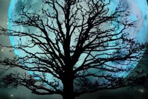 Concert du duo Hang Métiss