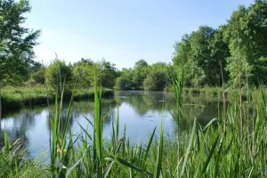 Sortie nature avec le Syndicat du Moron