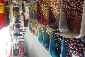 Marché traditionnel saisonnier