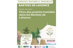 Sortie nature - flore des prairies humides