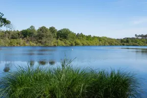 Balade Pédestre guidée