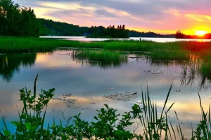 Balade nature : Préventions des tiques