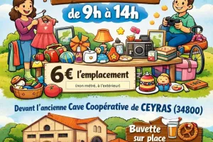 PUCES DE L'APE