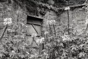Exposition photographique "Secret Gardens" chez Livres Books & Co