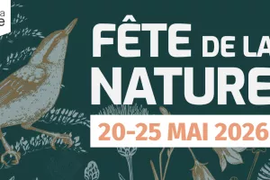 Goûter ludique et artistique autour de la nature