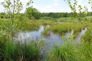 L'hiver aux Tourbières