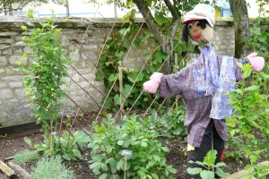 Fête d’été de La Rabouilleuse